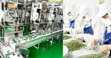 八马茶叶从茶园到茶杯的全产业链追溯管理平台